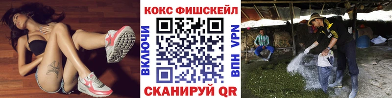 блэк спрут вход  Прохладный  COCAIN Эквадор 